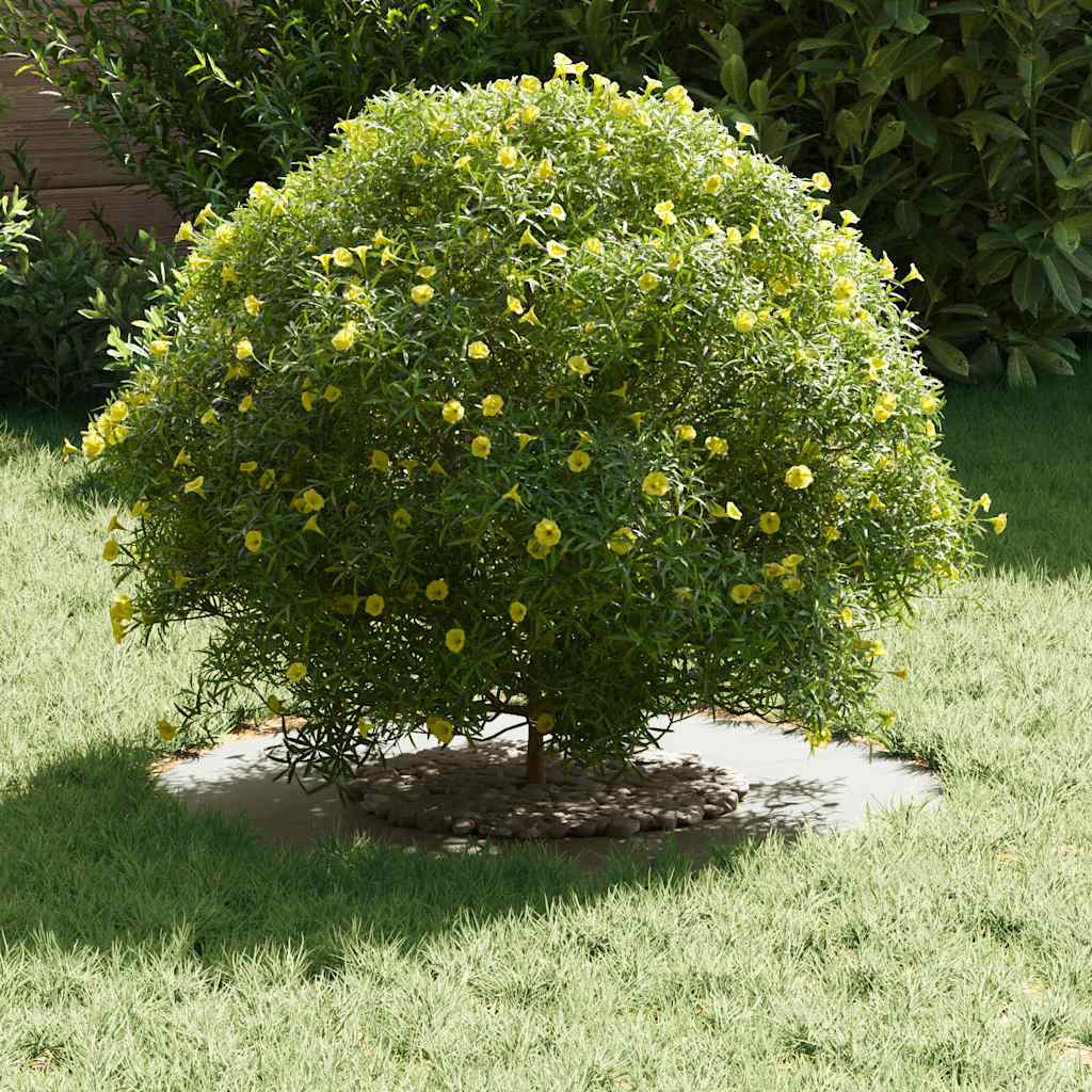 VidaXL passend für flache Baumringe 5 Stück weiß ø30 60 cm Stahl