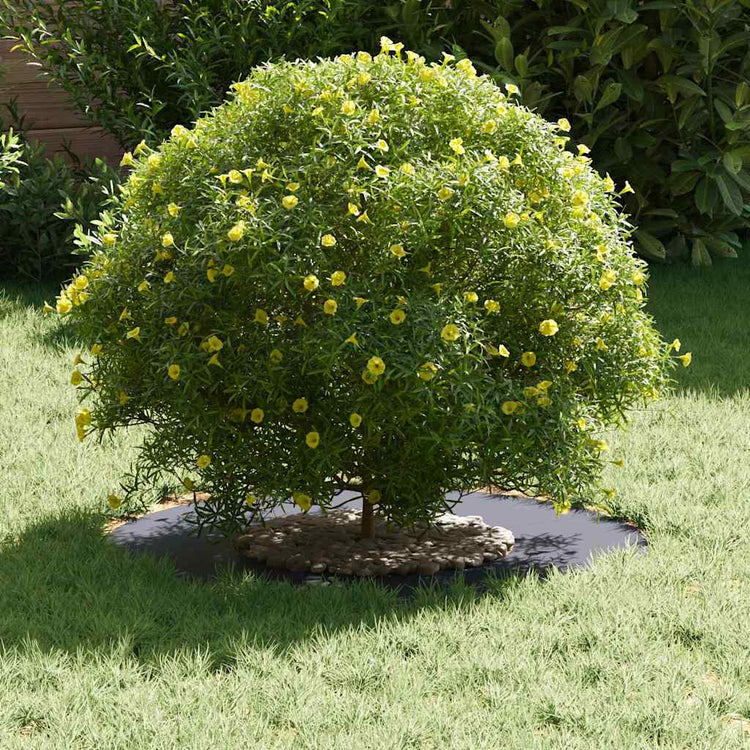 VidaXL passend für flache Baumringe 5 Stk. Anthrazit ø30 60 cm Stahl