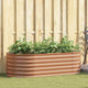 Vidaxx Hochbeet braun 160 x 80 x 44 cm Stahl