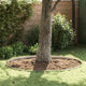 Vidaxx Gartenkante Silber 450 x 0,05 x 15 cm Edelstahl