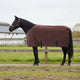 VidaXL Pferdedecke komplett aus dunkelbraunem Polyester