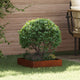 Vidaxl Gartenkante 6 Stück rostig 40 x 40 x 13 cm Cortenstahl