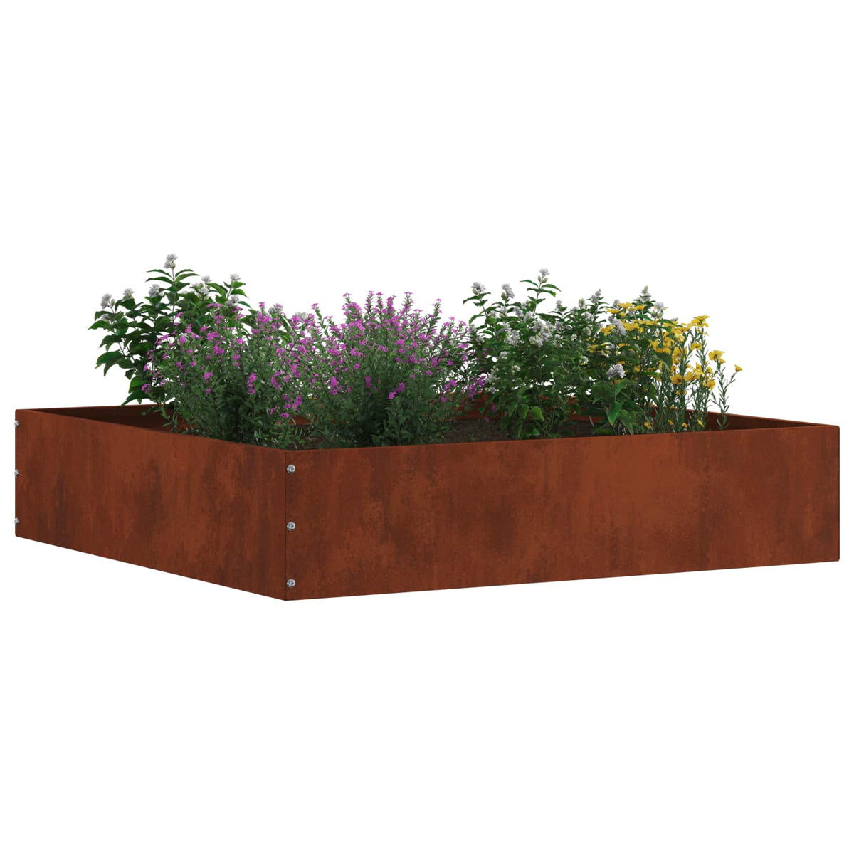Vidaxl Gartenkante 6 Stück rostig 60 x 60 x 13 cm Cortenstahl