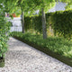 Vidaxl Rasenkanten 10 Stück olivgrün 103 x 0,05 x 22 cm Stahl