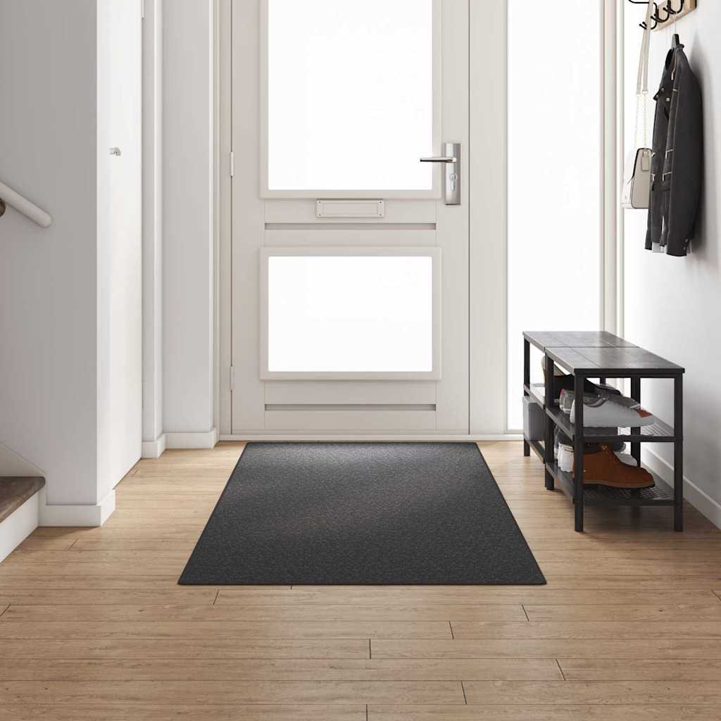Vidaxl Teppichläufer dunkelgrau 100 x 300 cm 100 % Polypropylen