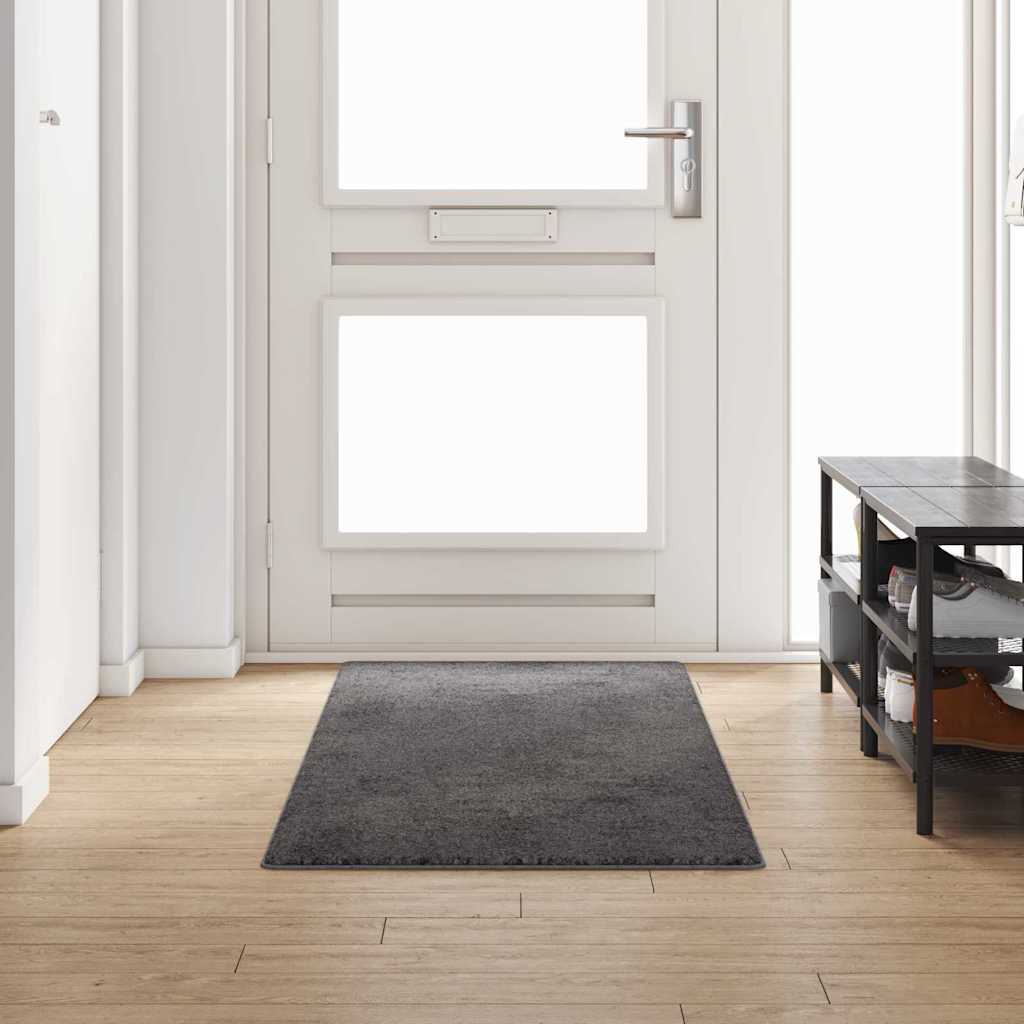 Vidaxx Teppichläufer grau 80 x 250 cm 100 % Polypropylen-Tuft