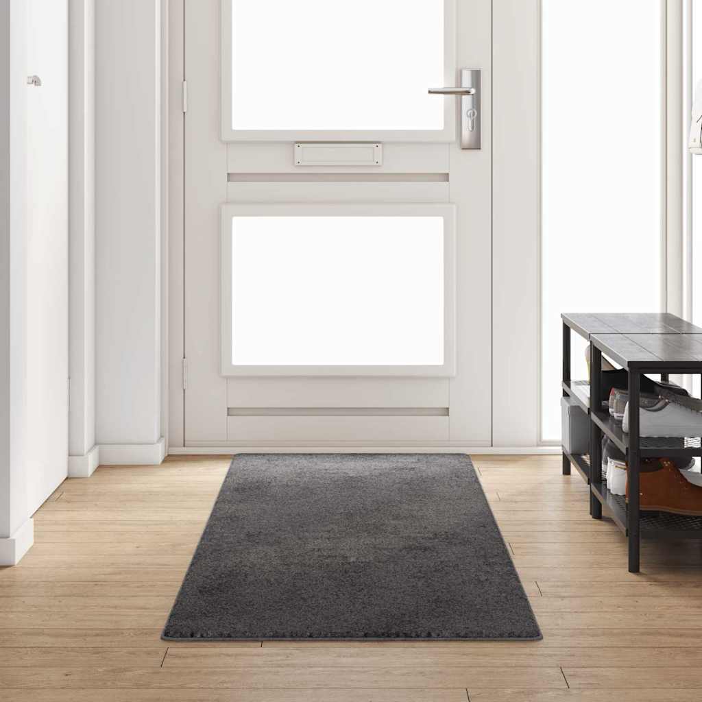 Vidaxx Teppichläufer grau 80 x 300 cm 100 % Polypropylen-Tuft