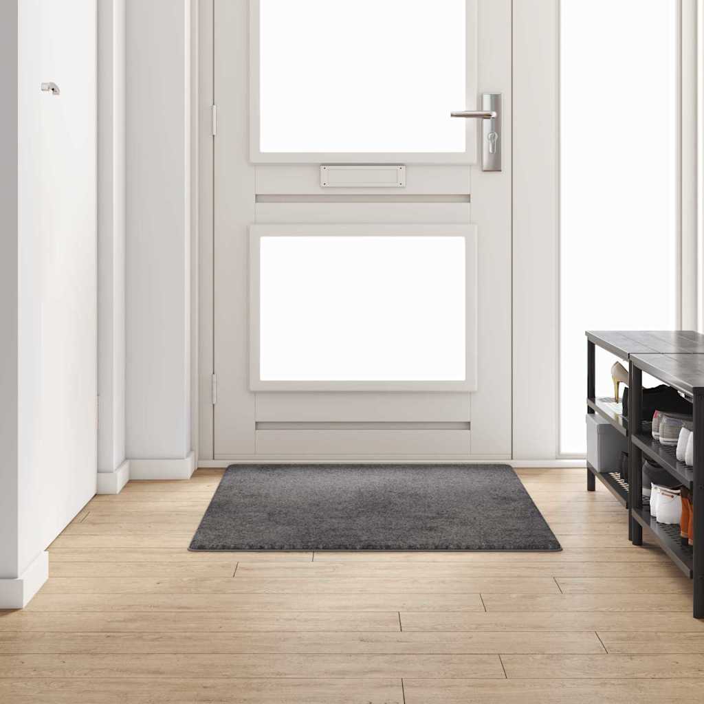Vidaxx Teppichläufer grau 100 x 150 cm 100 % Polypropylen-Tuft