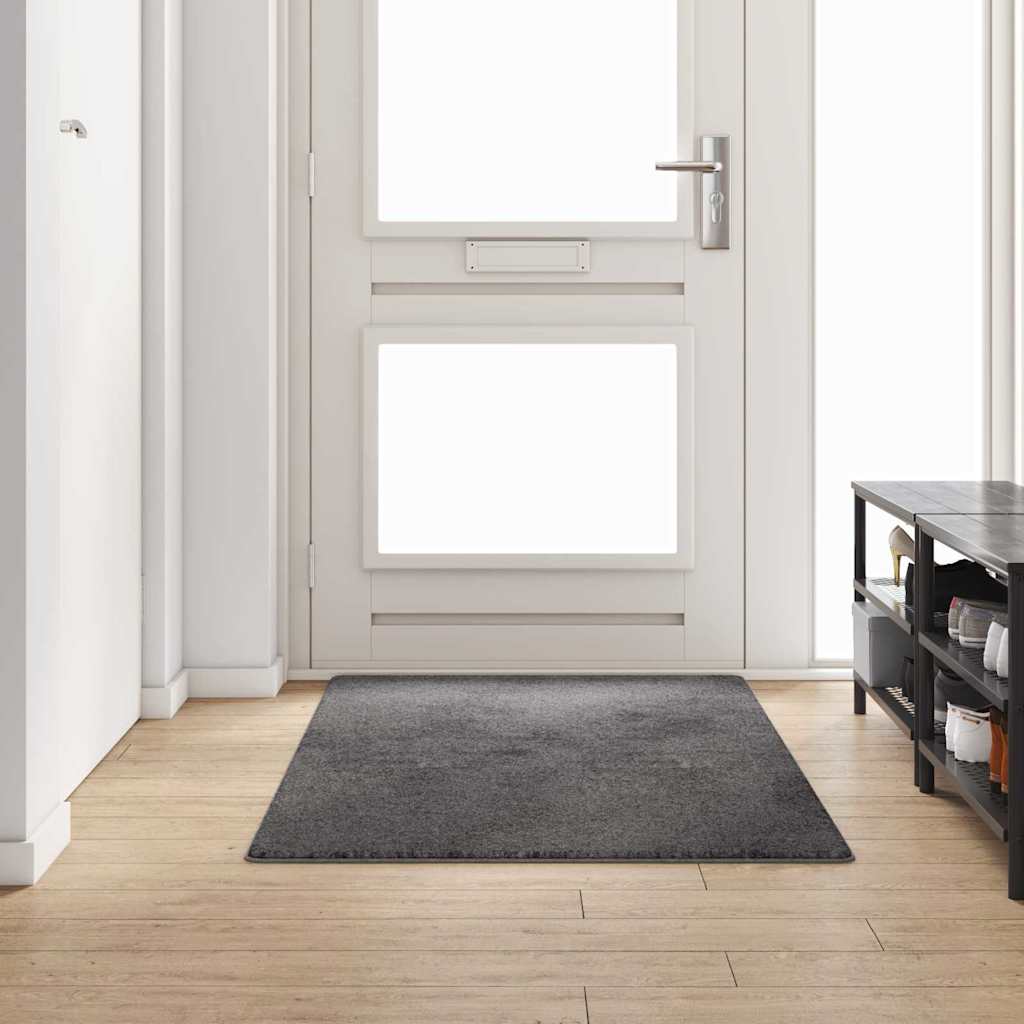 Vidaxx Teppichläufer grau 100 x 200 cm 100 % Polypropylen-Tuft