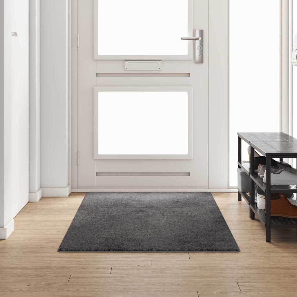 Vidaxx Teppichläufer grau 100 x 250 cm 100 % Polypropylen-Tuft