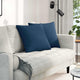 VidaXL Sofakissen 2 Stück blau 50 x 50 cm Stoff
