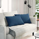 VidaXL Sofakissen 2 Stück blau 60 x 40 cm Stoff