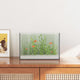 Vidaxx Aquarium mit Aufbewahrung aus transparentem 30 x 20 x 20 cm Glas