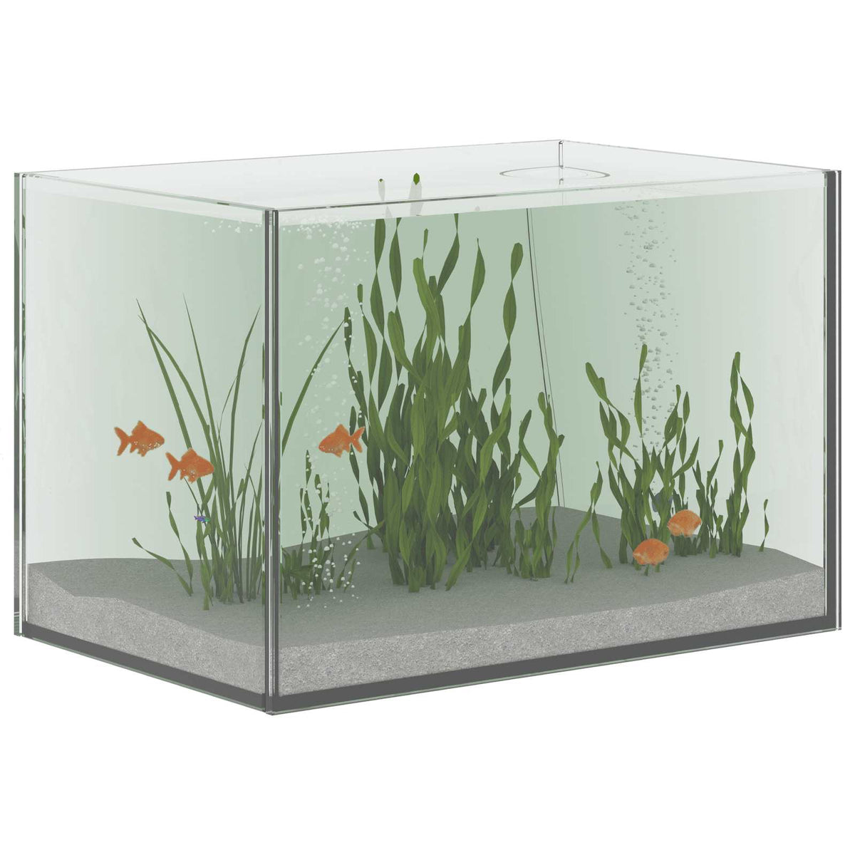 Vidaxx Aquarium mit Aufbewahrung aus transparentem 30 x 20 x 20 cm Glas