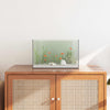 Vidaxx Aquarium mit Aufbewahrung aus transparentem 40 x 25 x 25 cm Glas