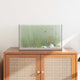 Vidaxx Aquarium mit Stauraum aus transparentem 50 x 30 x 30 cm Glas