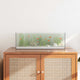 Vidaxx Aquarium mit Stauraum aus transparentem 60 x 20 x 20 cm Glas