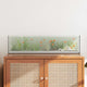 Vidaxx Aquarium mit Aufbewahrung aus transparentem 80 x 20 x 20 cm Glas