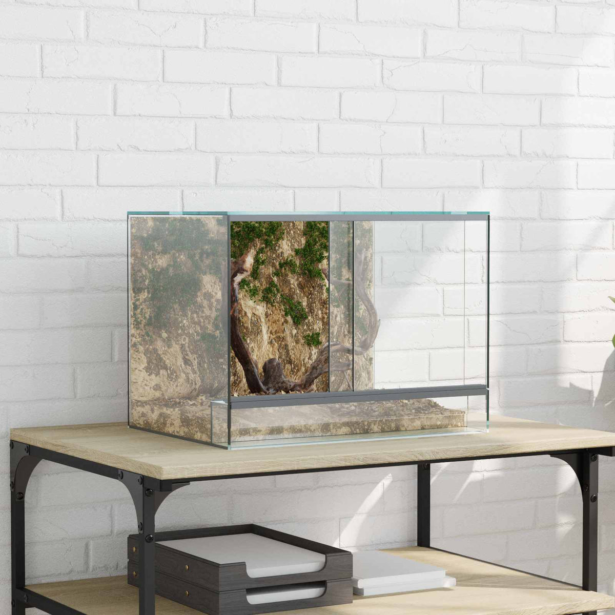 Vidaxx Terrarium mit Stauraum transparentes 40 x 30 x 30 cm großes Glas