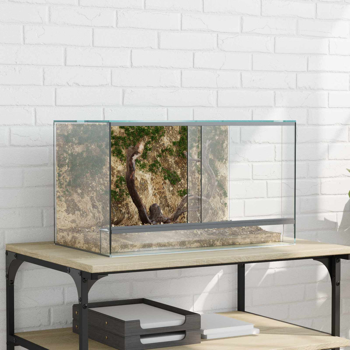 Vidaxx Terrarium mit Stauraum transparentes 50 x 30 x 30 cm großes Glas