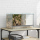 Vidaxx Terrarium mit Stauraum transparentes 50 x 30 x 30 cm großes Glas