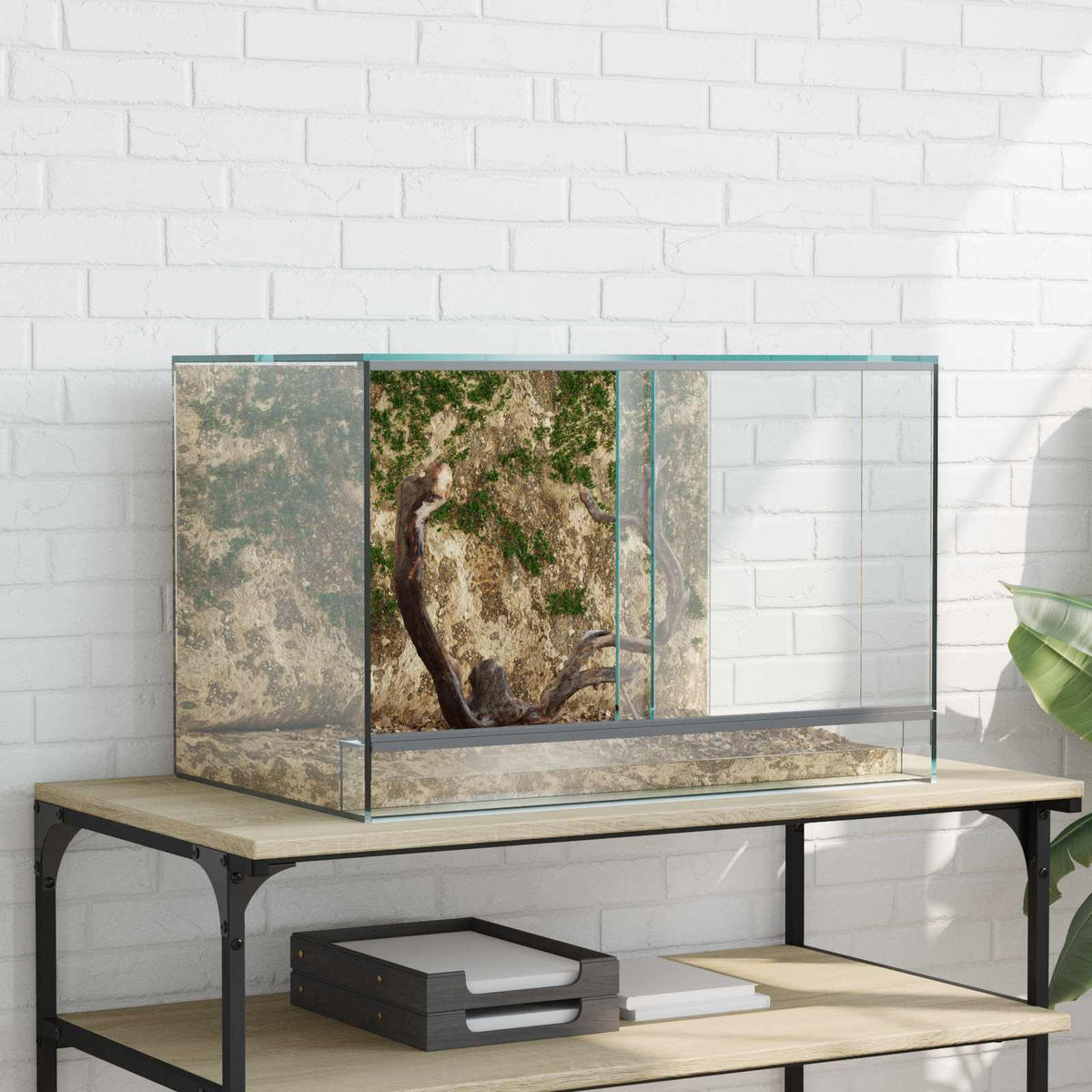 Vidaxx Terrarium mit Stauraum transparentes 60 x 40 x 40 cm großes Glas