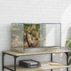 Vidaxx Terrarium mit Stauraum transparentes 60 x 40 x 40 cm großes Glas