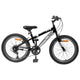 VidaXL Mountainbike 20 Zoll 6-Gang für 5-8 Jahre alt schwarz