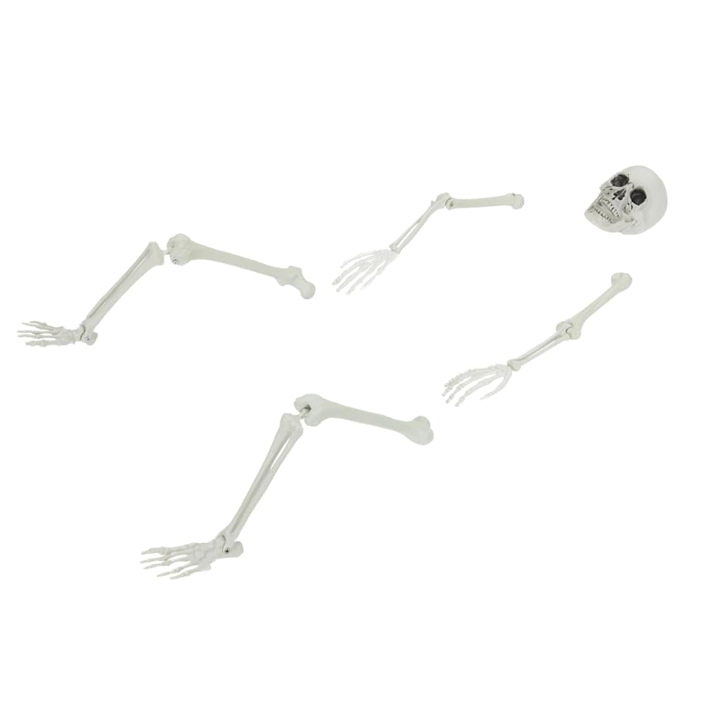 VidaXL Halloween Skelett weiß 45,5 x 13 cm Kunststoff