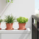 VidaXL runder Blumentopf 6 Stück ziegelrot ø 12,5 x 10 cm Kunststoff