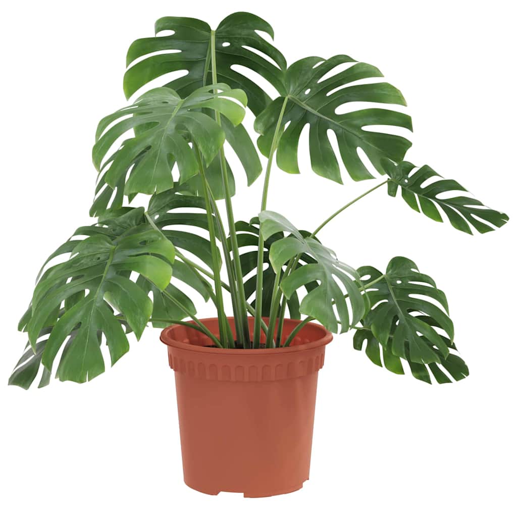Vidaxl runder Blumentopf 6 Stück ziegelrot ø 15 x 12 cm Kunststoff