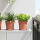 Vidaxl runder Blumentopf 6 Stück ziegelrot ø 19 x 16 cm Kunststoff