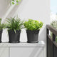 Vidaxx runder Blumentopf 6 Stück schwarz ø 19 x 16 cm Kunststoff