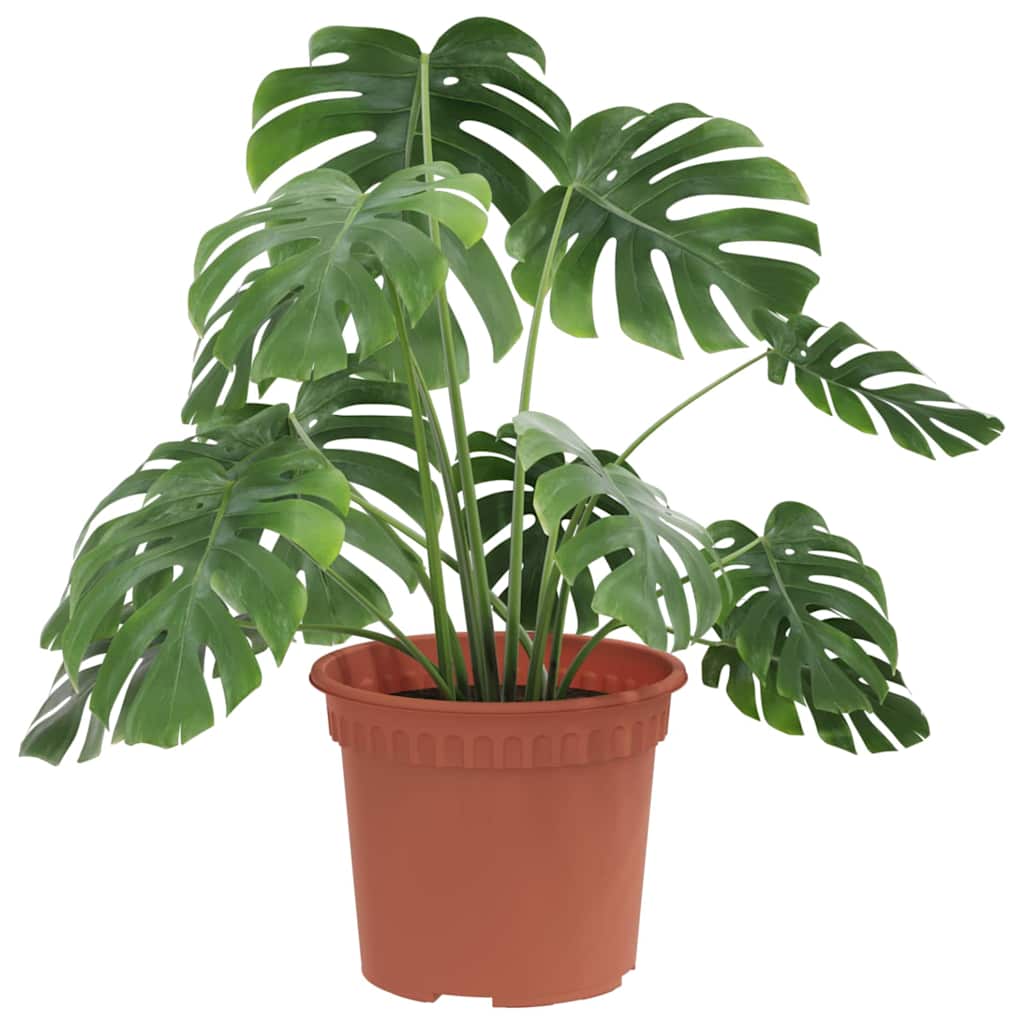 VidaXL runder Blumentopf 24 Stück ziegelrot ø 12,5 x 10 cm Kunststoff