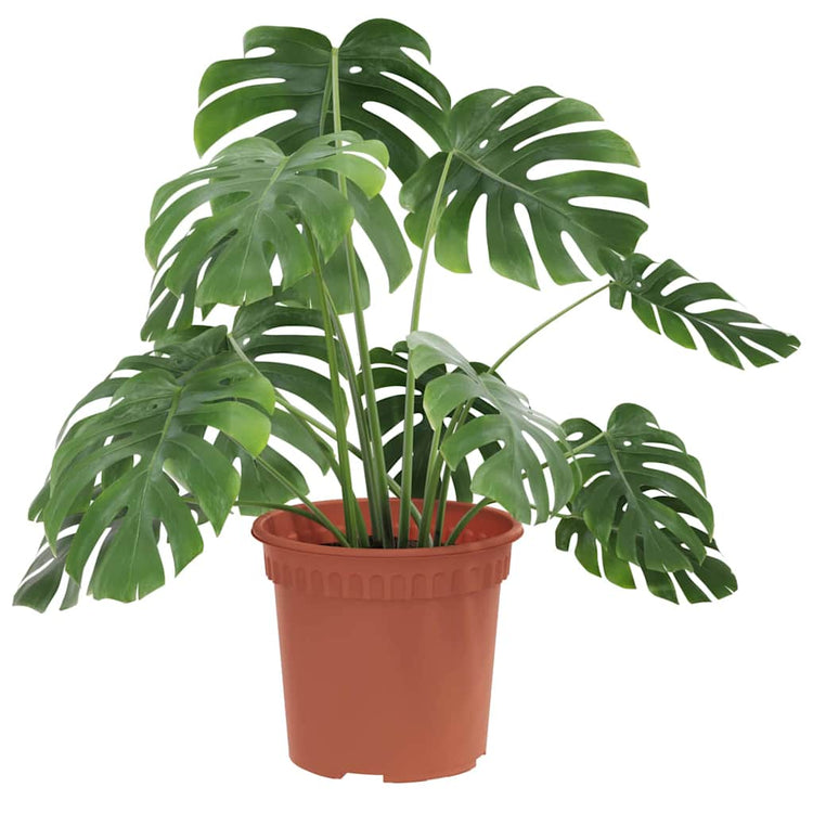Vidaxl runder Blumentopf 24 Stück ziegelrot ø 15 x 12 cm Kunststoff