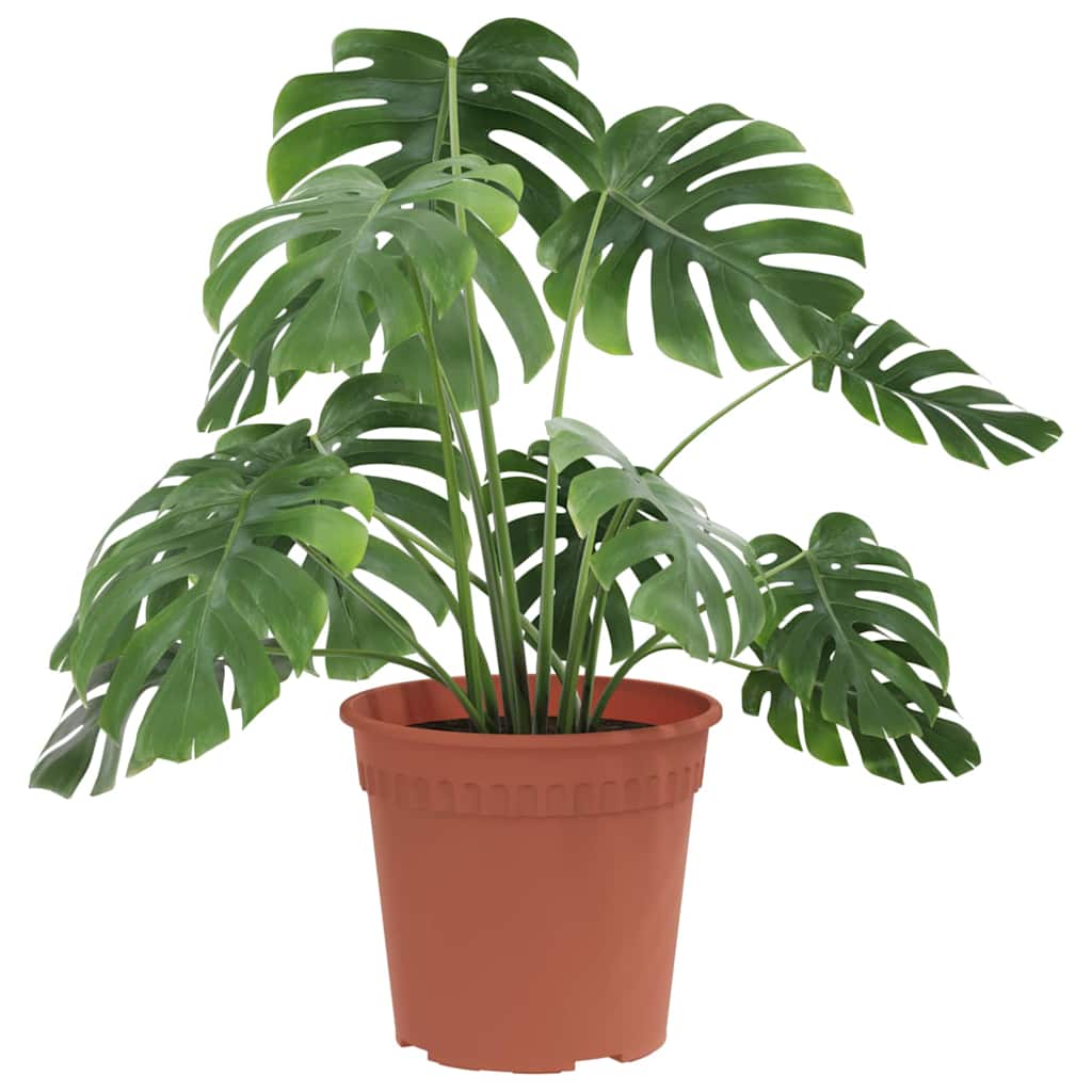 Vidaxl runder Blumentopf 24 Stück ziegelrot ø 17 x 14 cm Kunststoff