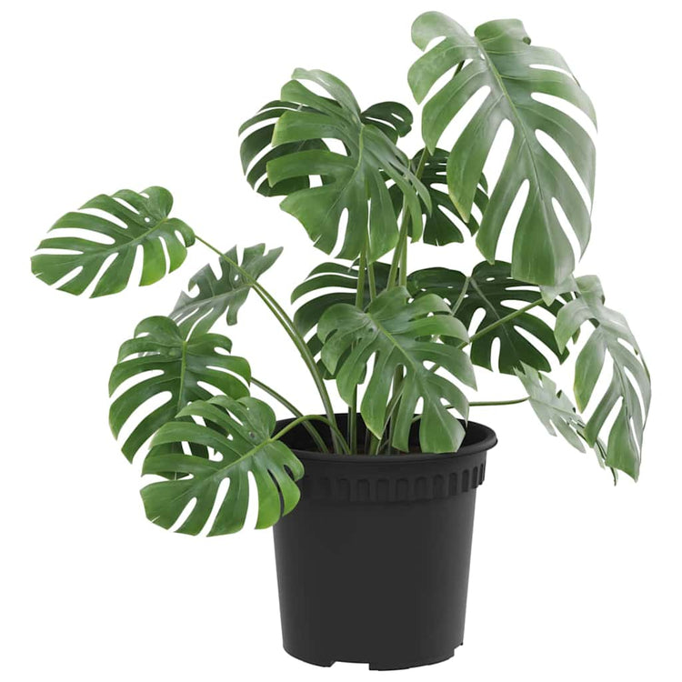 VidaXL runder Blumentopf 24 Stück schwarz ø 15 x 12 cm Kunststoff