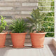Vidaxl runder Blumentopf 24 Stück ziegelrot ø 26 x 21,5 cm Kunststoff