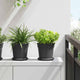 Vidaxl runde Blumenschalen 6 Stück schwarz ø 15,5 x 2 cm Kunststoff