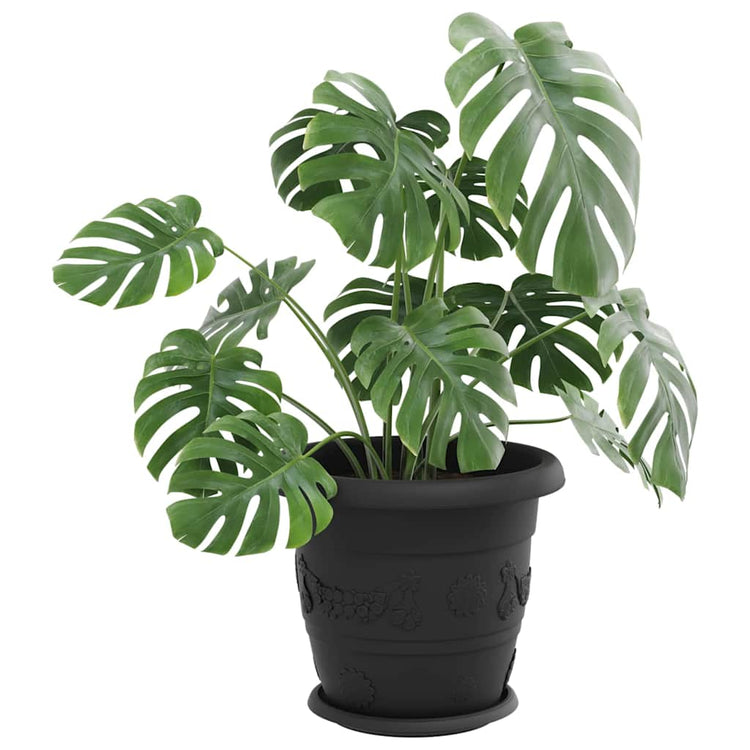 Vidaxl runde Blumenschalen 24 Stück schwarz ø 23,5 x 2,5 cm Kunststoff