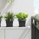 Vidaxx quadratischer Blumentopf 6 Stück schwarz 20 x 20 x 16 cm Kunststoff