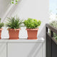 VidaXL quadratischer Blumentopf 24 Stück ziegelrot 20 x 20 x 16 cm