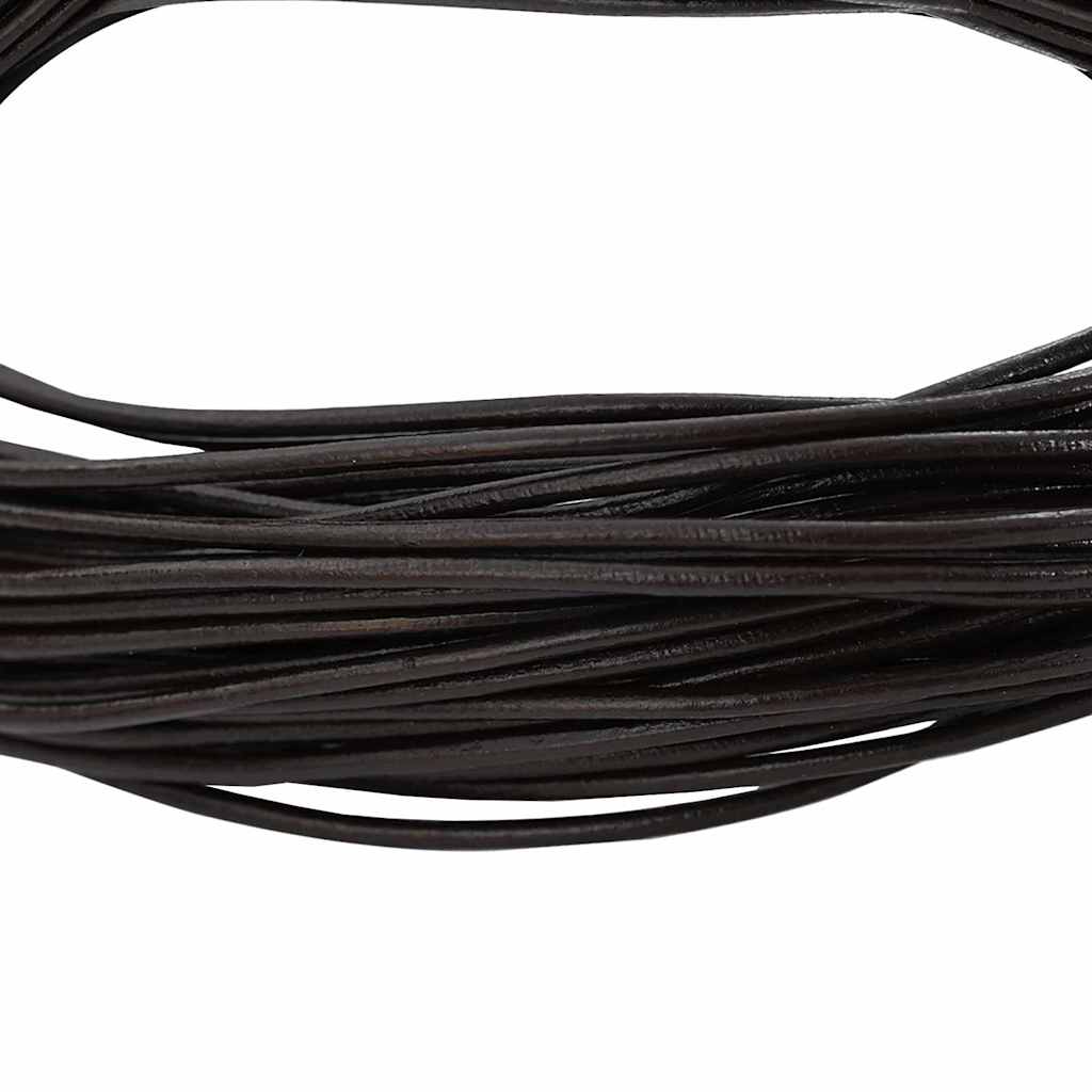 Vidaxl Lederband dunkelbraun ø2 mm x 10 m Leder