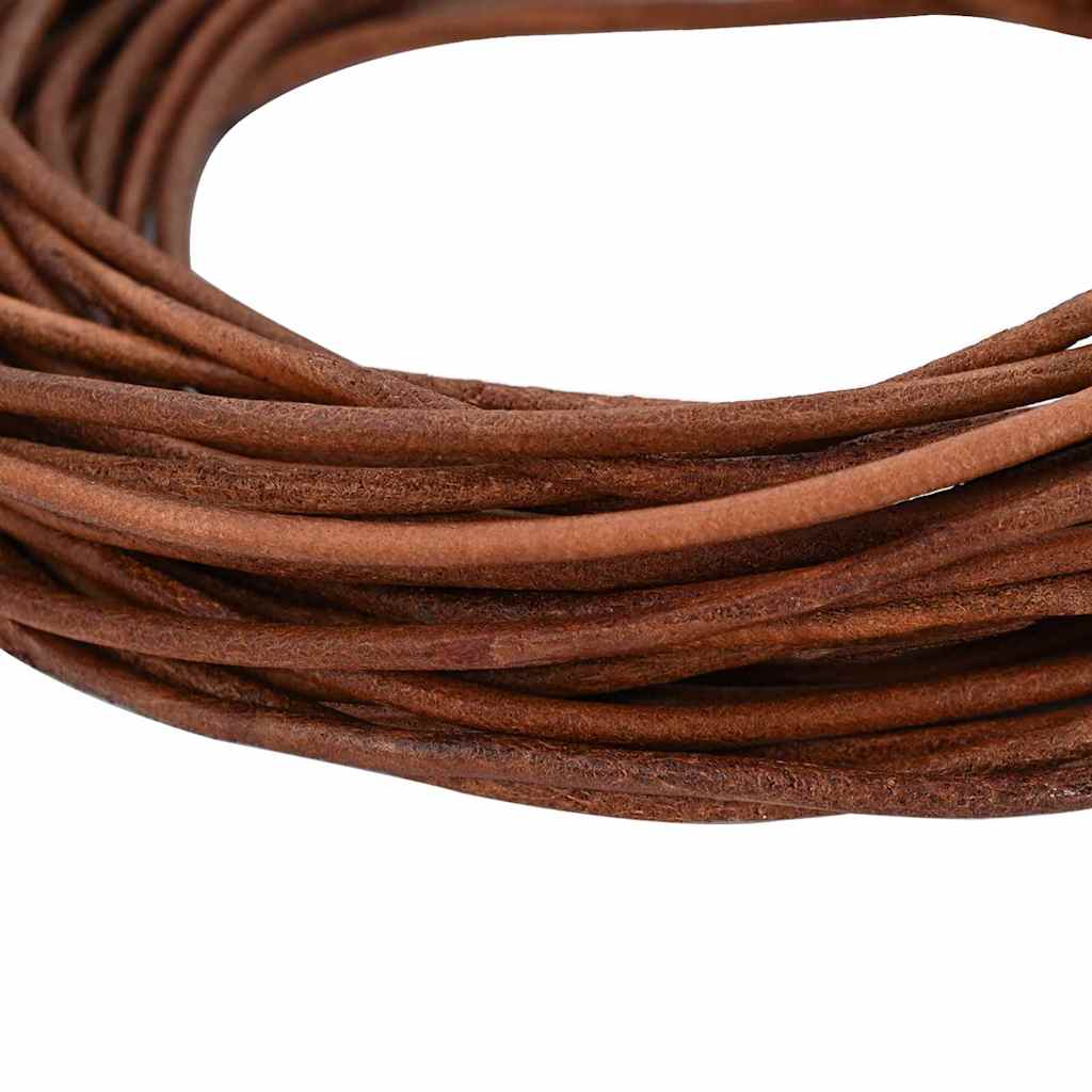Vidaxl Lederband hellbraun ø3 mm x 10 m Leder