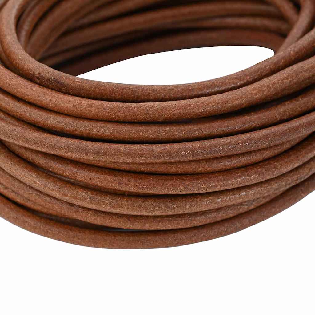 Vidaxxl Lederband hellbraun ø5 mm x 50 m Leder