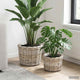Vidaxl Blumentopfkorb mit Aufbewahrung 2 Stück graues Kubu-Rattan