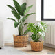 Vidaxl Blumentopfkorb mit Stauraum, 2 Stück, braunes Kubu-Rattan