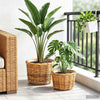 Vidaxl Blumentopfkorb mit Stauraum, 2 Stück, braunes Kubu-Rattan