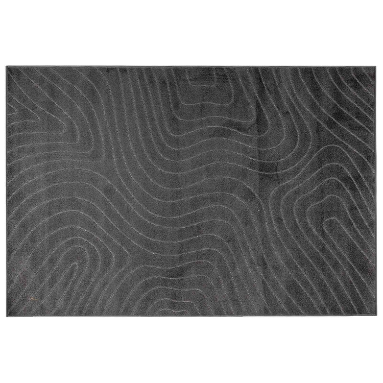 VidaXL Teppiche rechteckig Huarte Anthrazit 170 x 120 cm Polyester