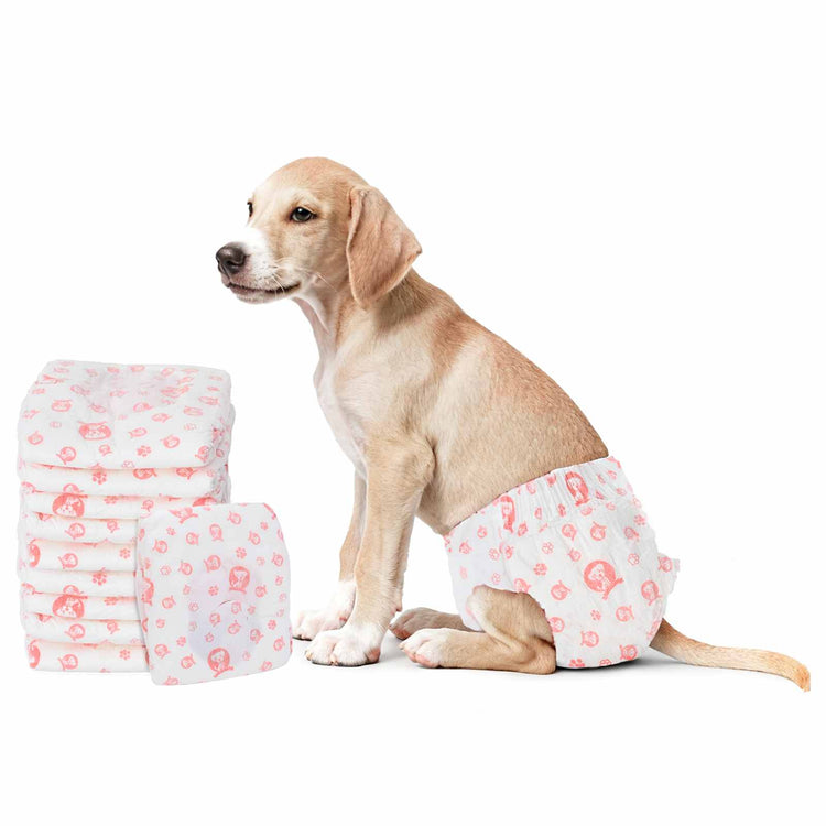 VidaXL Einweg-Hundewindeln für Hündinnen 30 Stück weiß s